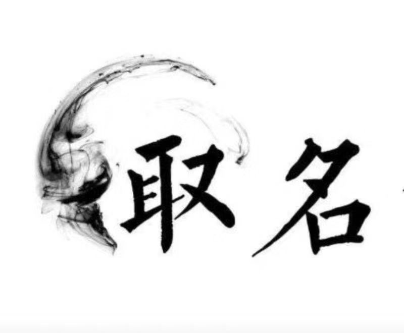  精河宝宝取名 大师一对一人工起名